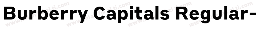 Burberry Capitals Regular字体转换